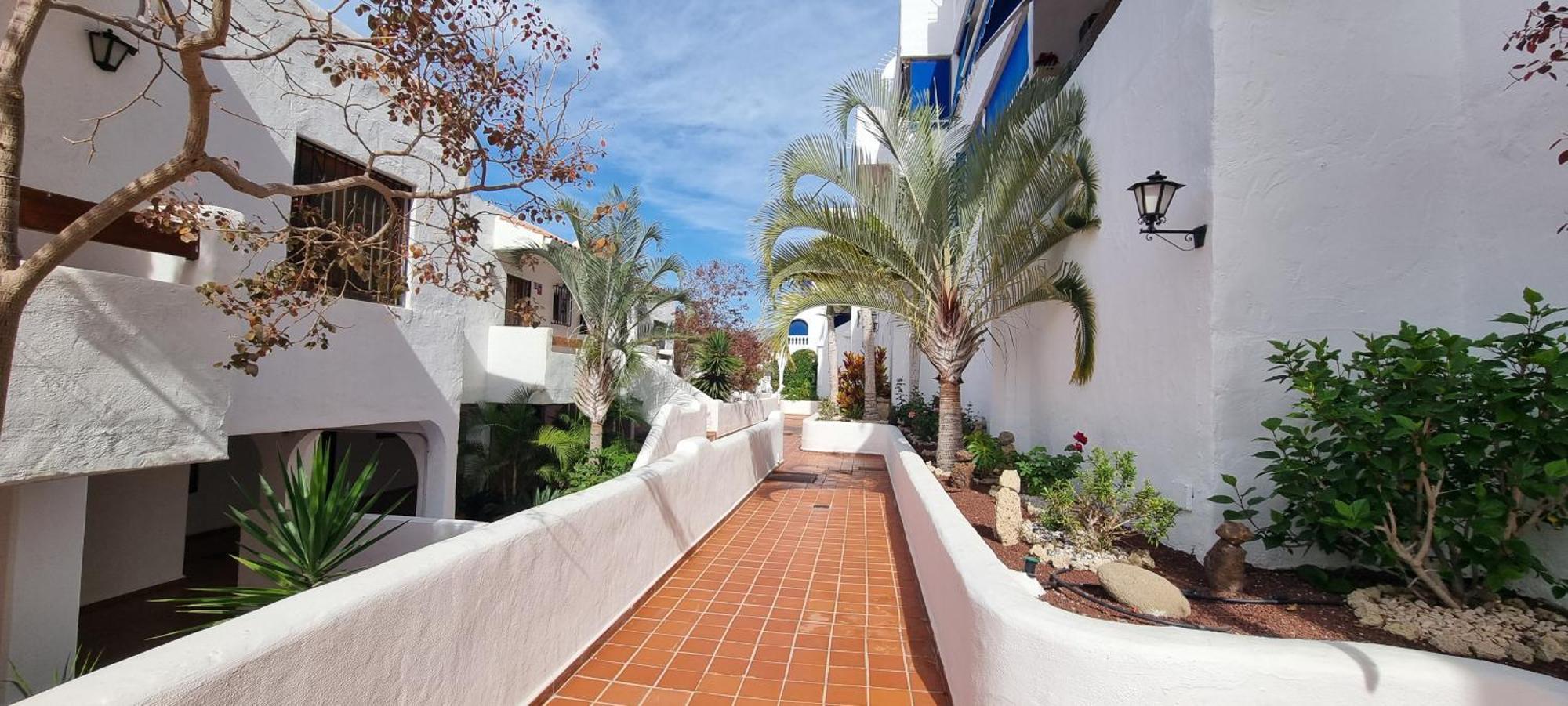 Wonderful Seaview Apartment - Los Cristianos Арона Екстер'єр фото